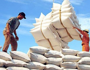 Xuất khẩu gạo thơm sẽ đạt 600.000 tấn trong năm 2012